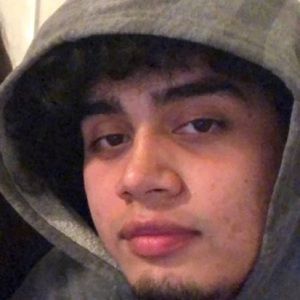 Meet your Posher, Roy